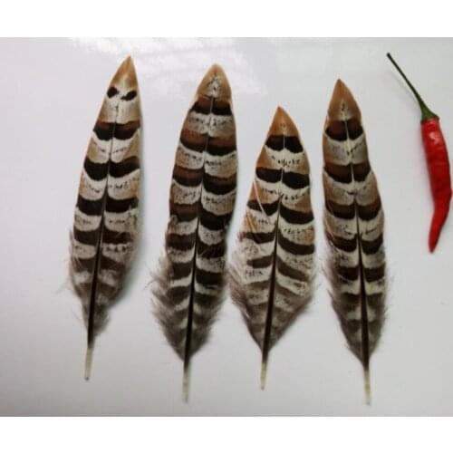 Sale high 5 pc Natural Pheasant feather,4-7inches / 10-17cm, DIY decorative handicrafts