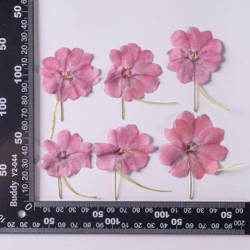 250pcs Pressed Dried Flower Impatiens wallerana Hook Plants Herbarium For Epoxy Resin Jewelry Making Makeup Nail Art Craft DIY