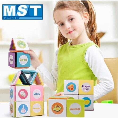 78PCS Magnetic Designer Building Constructor Square Magnetic Blocks Fruit Vegetable Magnet Building Blocks Game For Creativity