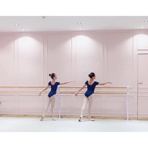 Beable Simple Color PVC Portable Ballet Dance Hall Contemporary Studio Vinyl Flooring