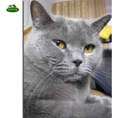 YUMEART 3D DIY Diamond Painting Rhinestones Set Embroidery Resin Craft Home Decor Living Room Knitting Needles Art Crafts