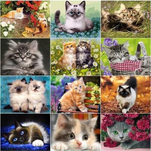 GATYZTORY Digital Painting By Numbers Animal Oil Painting Flower Cat Kit Acrylic Paint On Canvas Wall Art HandPainted Home Decor