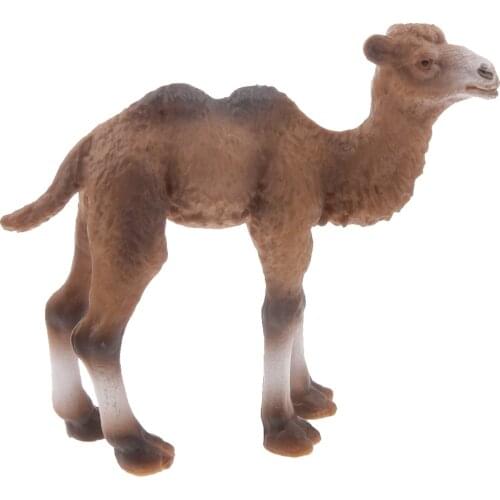 Realistic Lifelike Camel Model Figurine Kids Animal Educational Toy Home Decor Gift