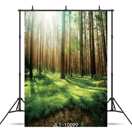 Vinyl Photography Backdrop Sunlight Tree Green Grass Scenic For Wedding Children Baby Shower Background Photo Booth Shoot Studio