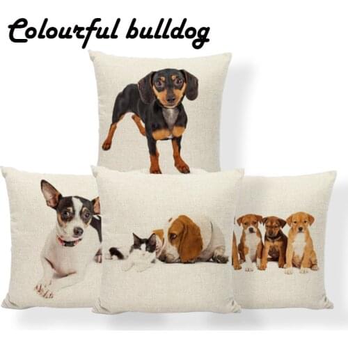 Chihuahua Hound Terrier Cushion Cover Dachshund English Mastiff Dog Pillowcase Nautical Houseware Decor Throw Pillow 45*45 Linen