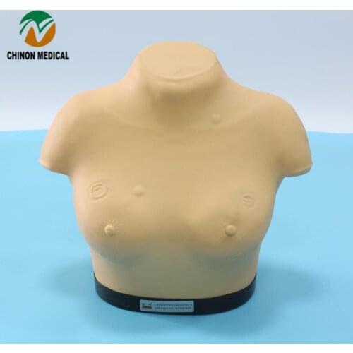 Chinon Senior Breast Visual Examination And Mammary Gland Palpation Model Medicine Student Medical Science EducationBIX-F7B