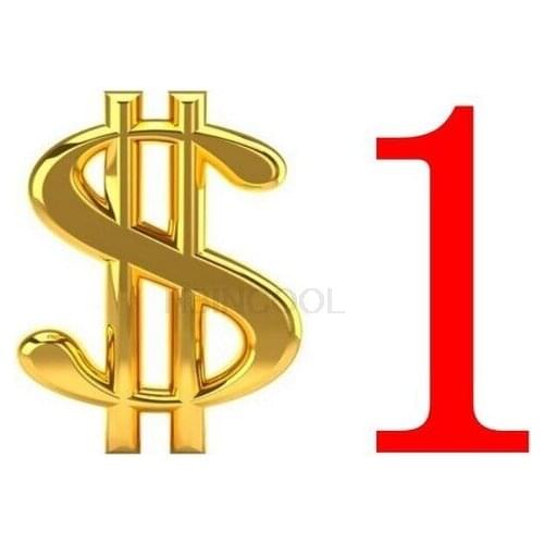 Agreement cost FOR order Dedicated freight link, Make up the difference,Up freight FOR Hong Kong/China Post Air Mail/DHL EMS fee