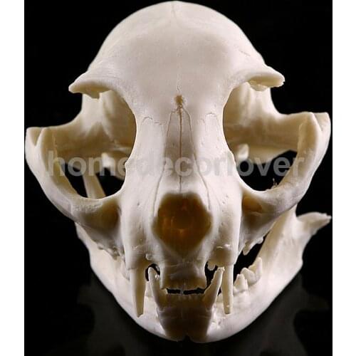 5pcs Resin Cat Skull Skeleton Figurine Aquarium Fish Tank Landscape Decoration
