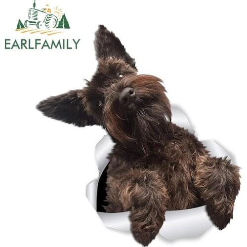 EARLFAMILY 13cm x 12.1cm 3D Dog Car Sticker Cute Schnauzer Dog Stickers for Wall Fridge Toilet Schnauzer Lover Ripped Torn Decal