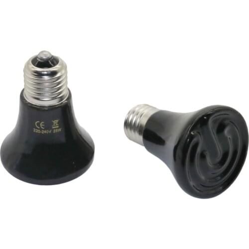 Adhere To Fly Terrarium Lamps China