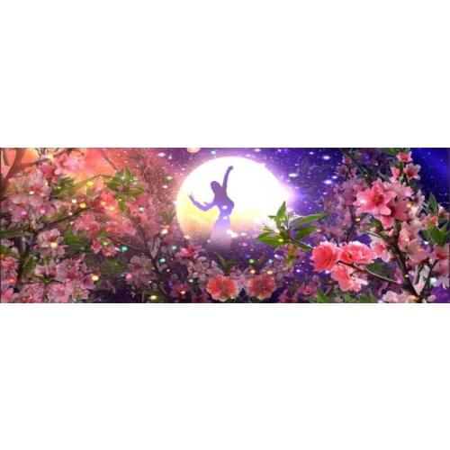 Diamond embroidery The goddess of the moon Diy Diamond painting cross-stitch beadwork kits 120*40cm full Square diamond mosaic