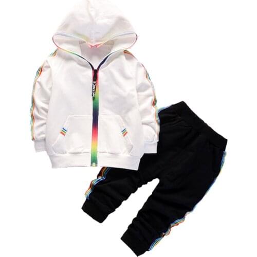 2020 New Autumn Toddler Tracksuit Baby Clothing Sets Children Boys Girls Clothes Kids Cotton Hooded Zip Jacket Pants 2 Pcs Suits