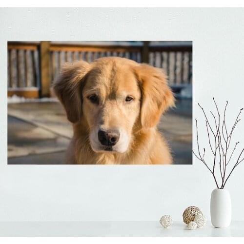 Custom Golden Retriever Decorative Canvas Poster High Quality Home Decoration Wall Art Cloth Canvas Fabric Wall Poster Print