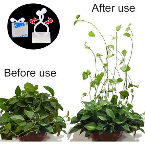 Self Adhesive Plant Climbing Wall Fastener Tie Bar Clamp Rattan Hook Garden Plant Climbing Wall Rattan Clamp Fixed Hook