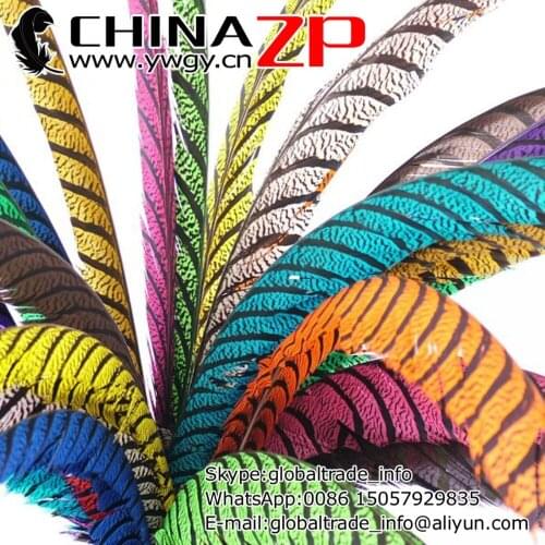 CHINAZP Factory 50pcs/lot Size 80-90cm Dyed Multi Colors ZEBRA Lady Amherst Pheasant Tail Feathers