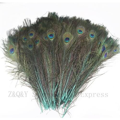 50-100PCS Natural 40-50CM (16-20 inches) Peacock Feather Dyed Mint Green DIY Decoration Craft Jewelry Accessories Feather