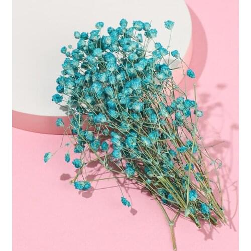 Colorful Dried Flowers Small Natural Dried Floral Plants Mini Real Bouquets Home Decoration Photography Props Art Craft RE