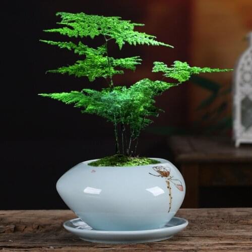 Decorative Flower Pots Green Plant Succulent Flowerpot With Tray Breathable Orchid Garden Vase Ceramic Simple Household