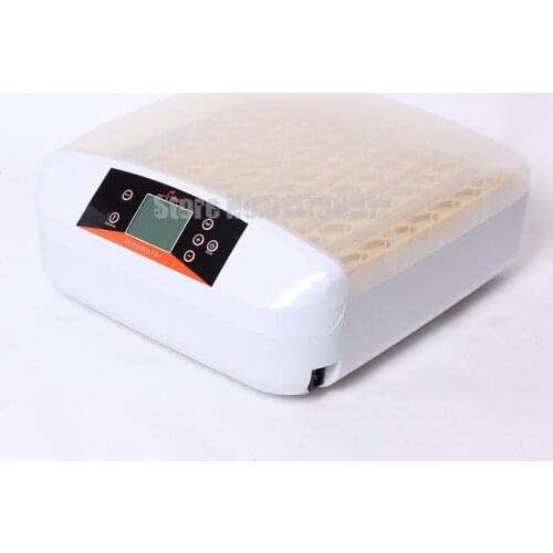 Incubator Mini Incubator Quail Bird Egg Incubator