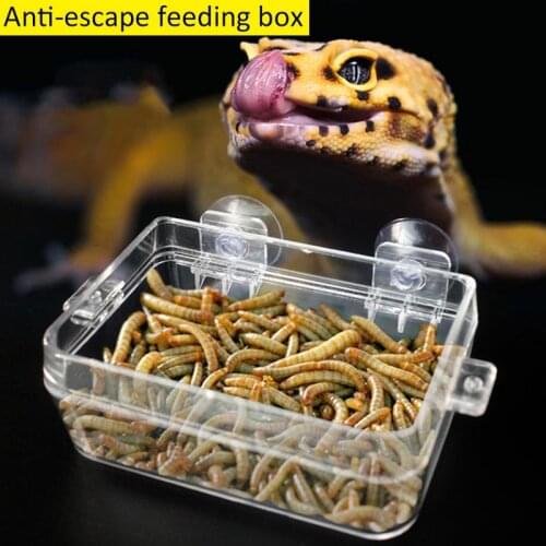 Acrylic Reptile Feeding Box Anti Escape Box Feeder Bowl For Reptile Snake Pythons Spider Lizard Scorpion Insects Observation Box