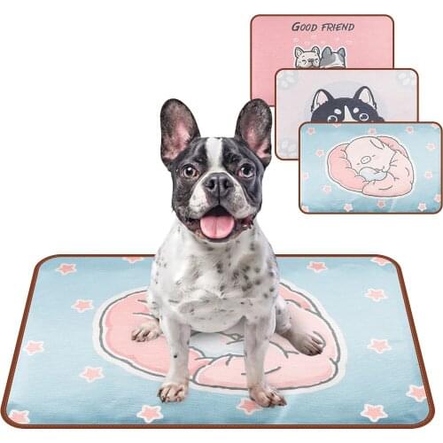 2019 Summer Cooling Mats Blanket Ice Pet Dog Bed Mats For Dogs Cats Sofa Portable Tour Camping Yoga Sleeping Pet Accessories