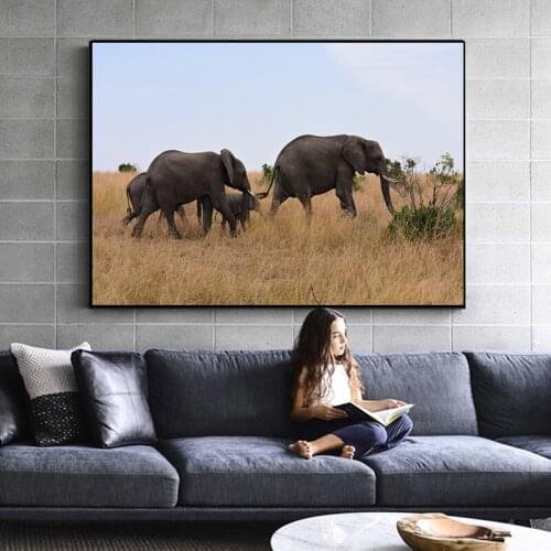 Wild Animal Elephant Cub Grassland Real Photography Black and White Photo Photography Decorative Painting Living Room Background