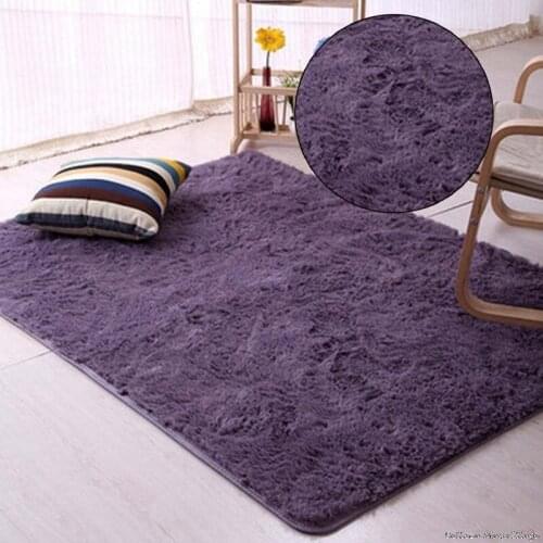 Thick Carpet for Living Room Plush Rug Children Bed Room Fluffy Floor Carpets Window Bedside Home Decor Rugs Soft Velvet Mat