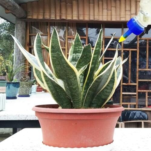 1Pcs New Simple And Easy-to-use Bottle Cap Plants Spray Device For Efficient Watering Of The Garden Daily Watering Accessories