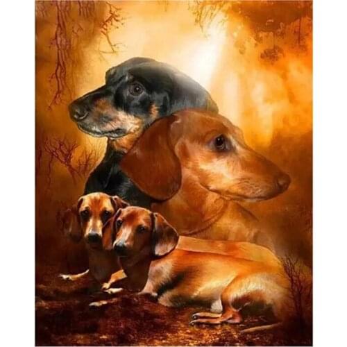 DIY 5D Diamond Mosaic Professor Dachshund Handmade Diamond Painting Cross Stitch Diamond Embroidery Patterns Rhinestones dogs