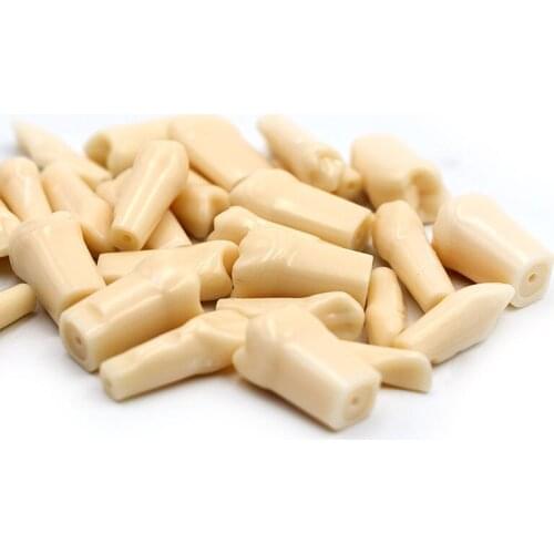 28pcs/Bag Simulation Tooth Grain Dental Granule and Screw Dental Tooth Model For Dentist Exam Preparation Teaching