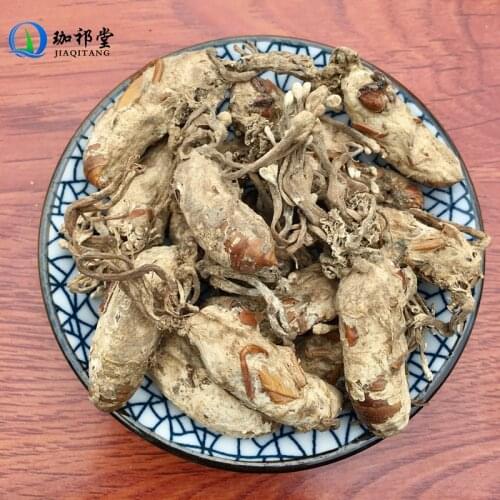 Cicada Slough Cordyceps Cicadae Isaria Cicadae Miquel Jin Chan Hua