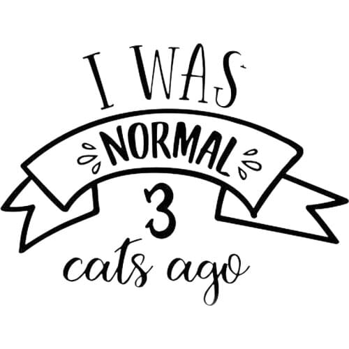 Pet Lover Dog Cat Salon Wall Sticker Four Paw Store Lovers Dog Cat Veterinary Clinic Animals Best Friend wall decals HQ091