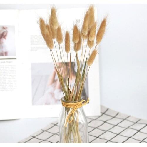 20pcs/Bouquet Dried Flower Bunny Tail Natural Plants Floral Rabbit Grass Bouquet Home Decoration Accessories Photography Props