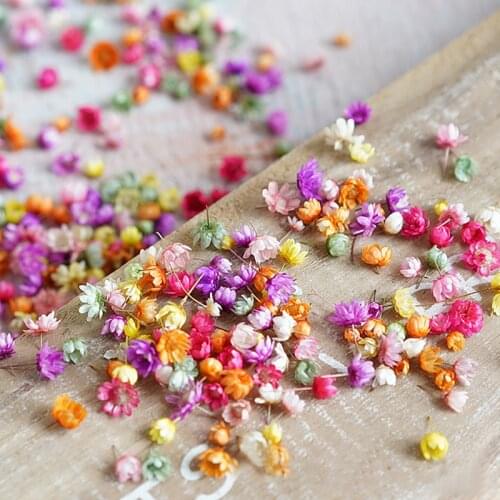 Real Dried Flowers For DIY Art Craft Epoxy Resin Candle Making Jewellery Glass cover ball filler Dried Flowers Accessories