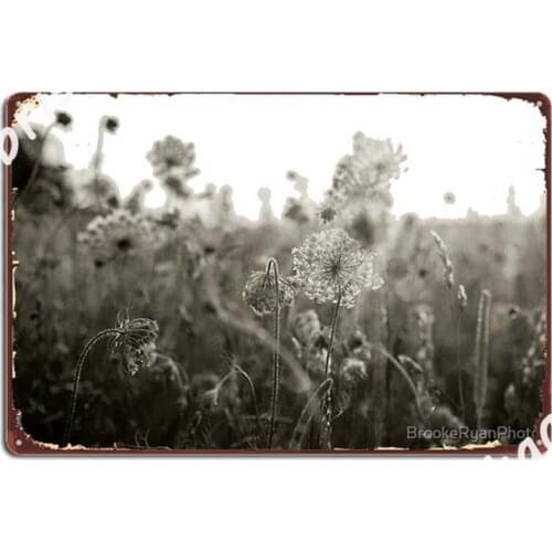 Queen Annes Lace No 1 Metal Signs Wall Mural Home Custom Wall Decor Metal Posters