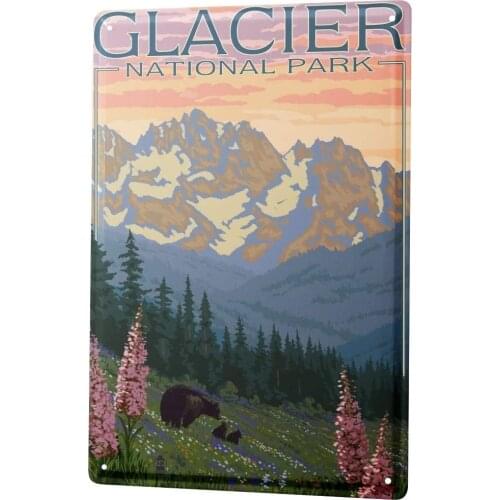 SINCE 2004 Tin Sign Metal Plate Decorative Sign Home Decor Plaques Holiday Travel Agency Glacier National Park