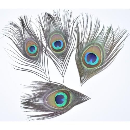 20Pcs/Lot Real Peacock Feather Eye Trimmed 10-15CM/4-6" Peacock Feathers for Crafts Peacock Decor Plumas Carnaval Assesoires DIY
