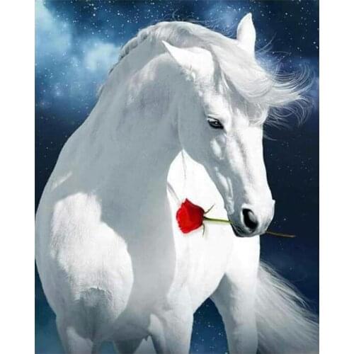 PhotoCustom Animals Paint By Numbers Kits On Canvas Horse DIY Frame 60x75cm Oil Painting By Numbers Hand Painting Decor Wall Art
