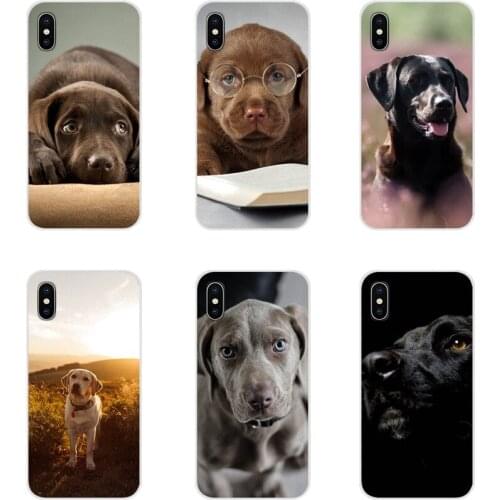 Accessories Phone Cases Covers funny labrador dog For Apple iPhone X XR XS MAX 4 4S 5 5S 5C SE 6 6S 7 8 Plus ipod touch 5 6