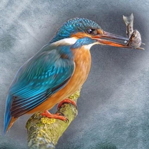 Rhinestone Painting Crystal Decor Diy Diamond Painting "Animal bird" 3D Cross Stitch Pattern Diamond Embroidery