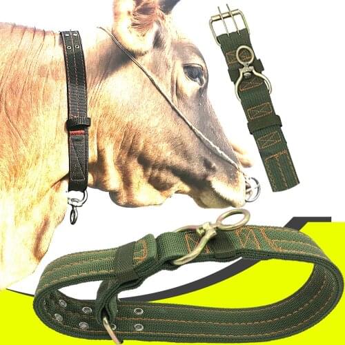 1PCS Dog Cattle Sheep Goat Donkey Horse Cow Collar Canvas Belt Strong Durable Necklace Belay Tie Veterinary Equipment