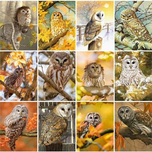 MomoArt 5D DIY Diamond Painting Owl Craft Kit Diamond Embroidery Animal Cross Stitch Mosaic Wall Art Decorations