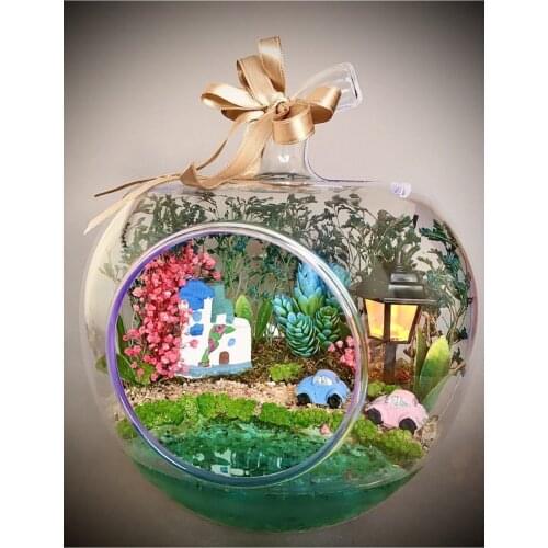 Basement Illuminated Terrarium