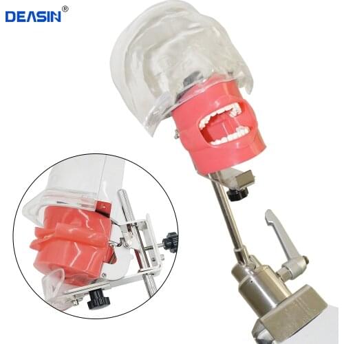 Dental simulator Nissin manikin phantom head Dental phantom head model with new style bench mount for dentist education