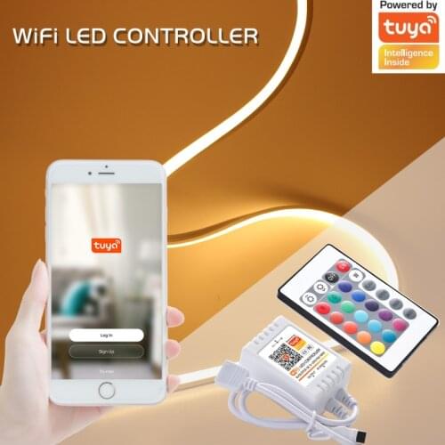 Colorful 24 key Dual Load Wifi Intelligent Controller With Controller ALexa Voice Tuya RGB Lamp RGBW Light Smart Electronics