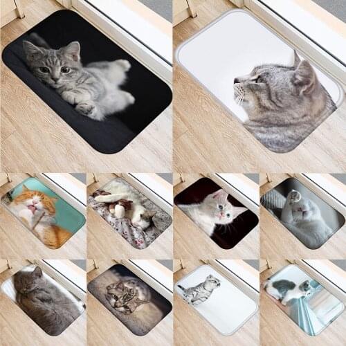 1pcs 40*60cm Cute Cat Pattern Floor Mat Anti-Slip Suede Carpet Doormat indoor Kitchen Bathroom Living Room Door Mat Rug 48237