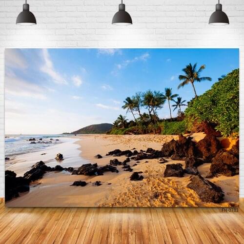 Blue Sky Summer Tropical Sea Beach Sand Palms Tree Mountain Baby Party Photocall Backgrounds Photography Backdrops Photo Studio