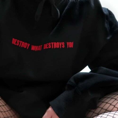 Destroy What Destroys You Hoodie Sweatshirt Tumblr Inspired Aesthetic Pale Pastel Grunge Aesthetics Outfits Women Streetwear Top