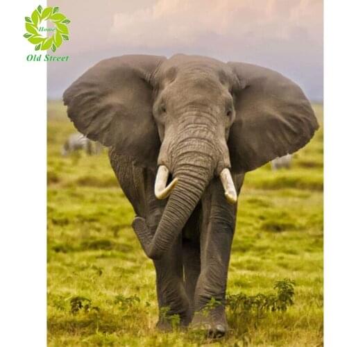 Old Street Full Square Diamond Painting Elephant 5D DIY Animal Diamond Embroidery Cross Stitch Kit Handmade Gift Home Decoration