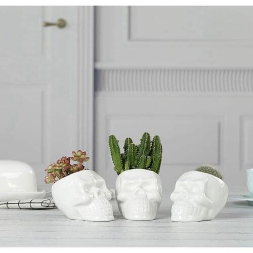 New White Ceramic Skull Shaped Succulent Planter Pots Set Of 3, Cute Cactus Plant Pot Creative Pen Pencil Holder for Home Office